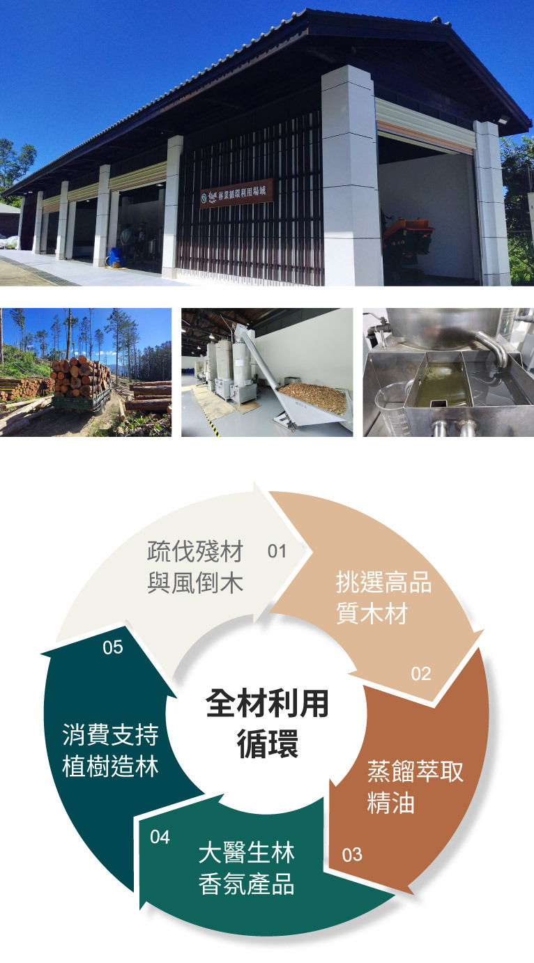 林業保育署聯名系列