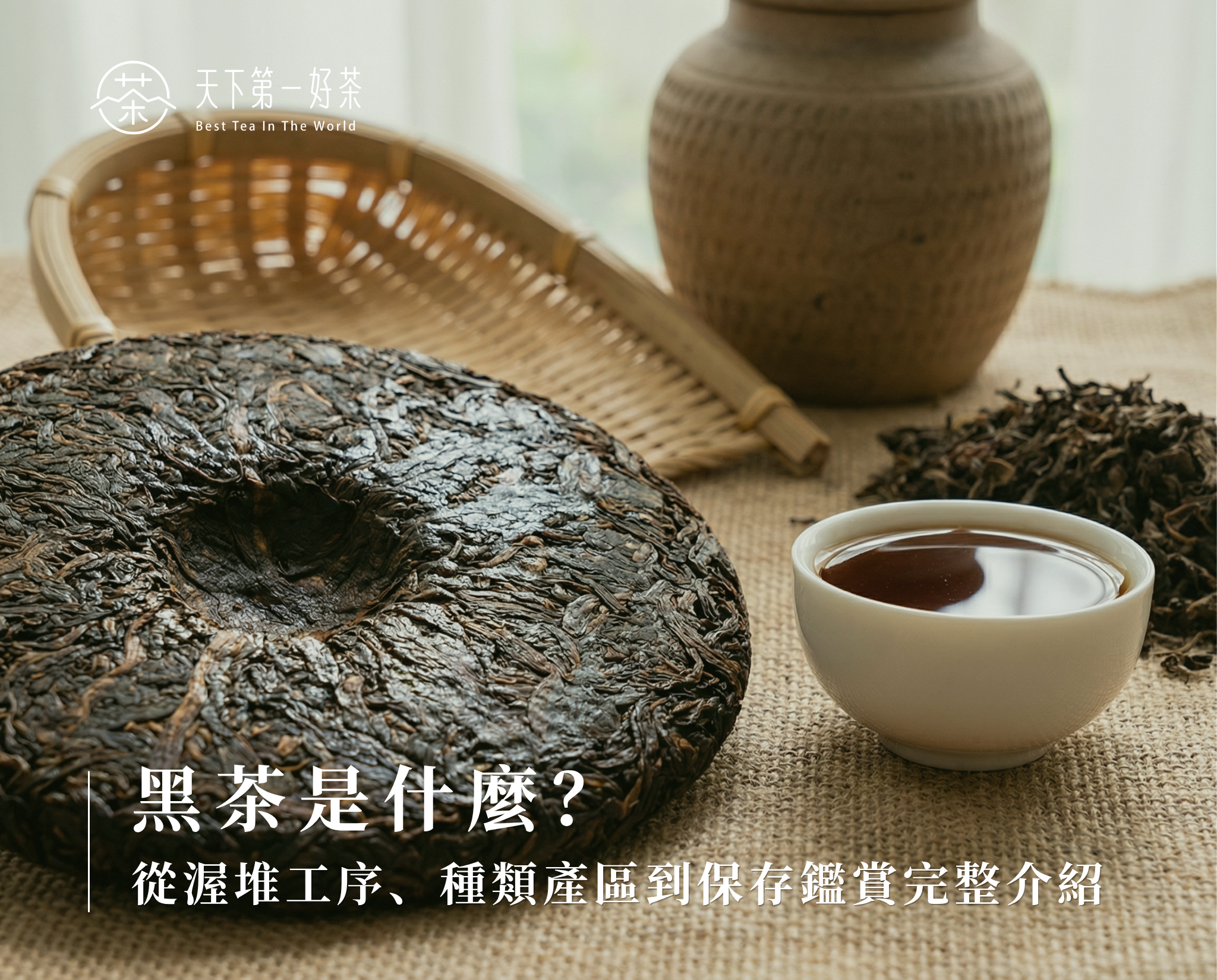 黑茶是什麼？