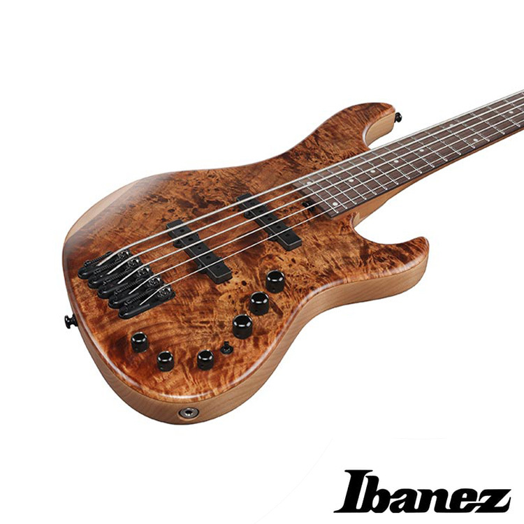 Ibanez MDM1605 NML 主動式 五弦 電貝斯