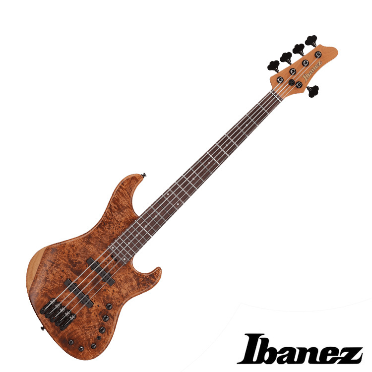 Ibanez MDM1605 NML 主動式 五弦 電貝斯