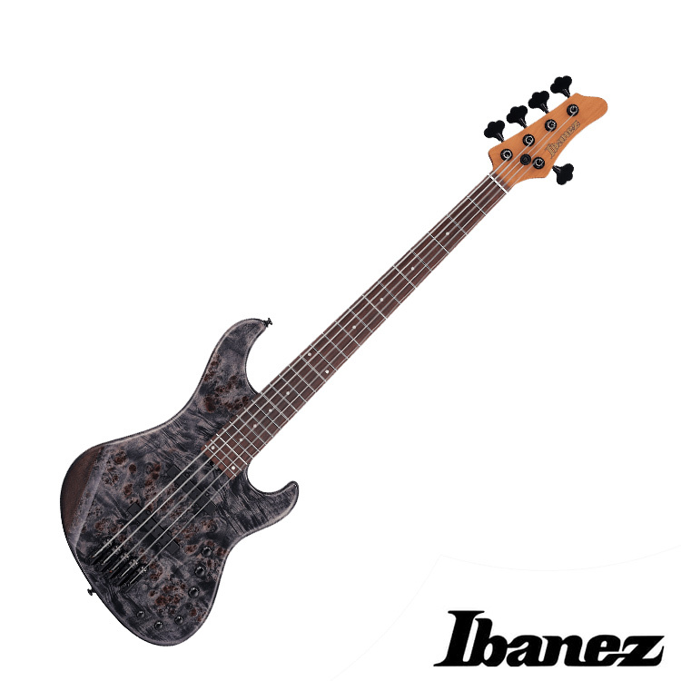 Ibanez MDM1605 DTW 主動式 五弦 電貝斯