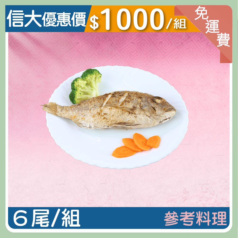 【信大】日本野生真鯛6入組