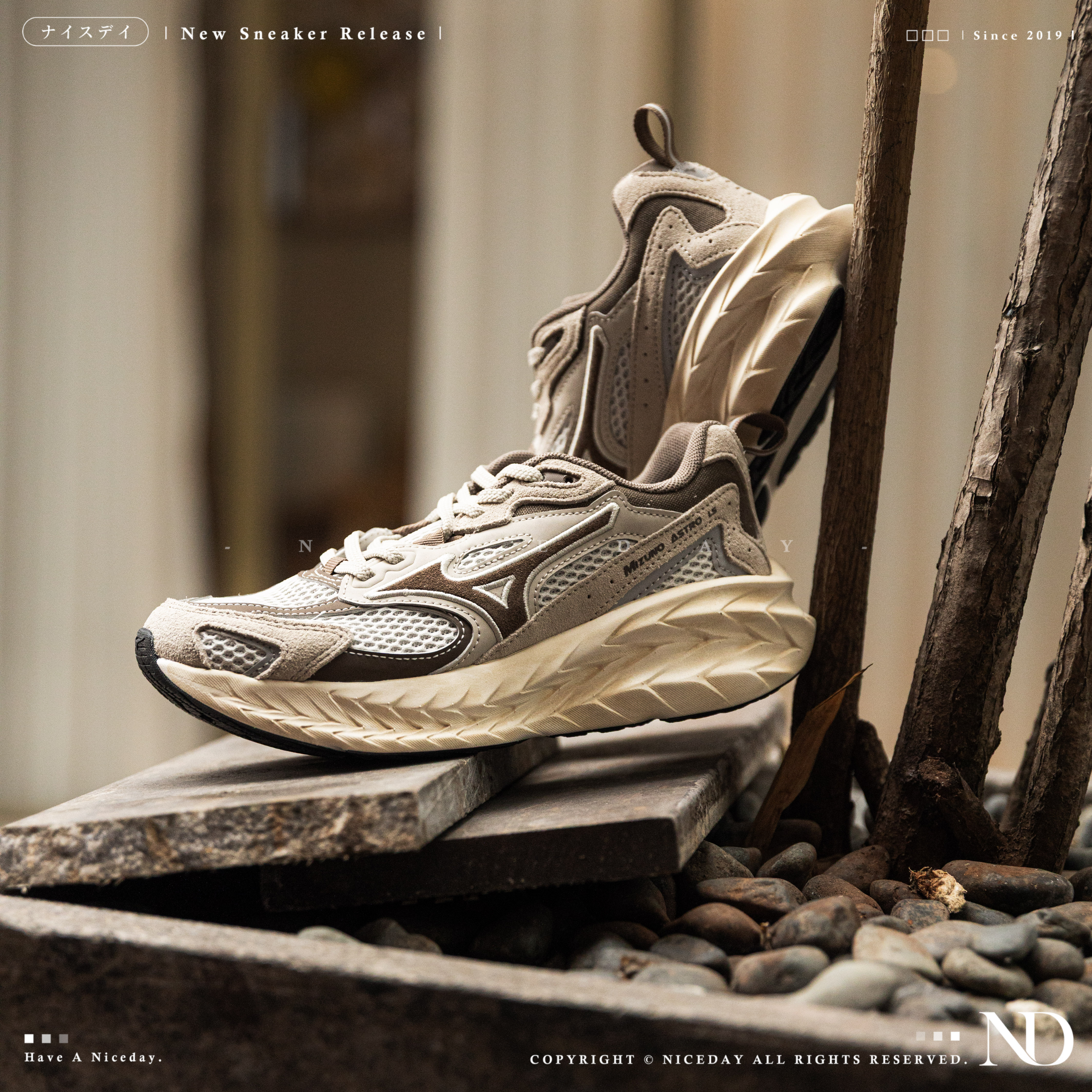 NICEDAY 代購 Mizuno Astro LS 可可牛奶 可可 摩卡 棕 咖啡 慢跑 D1GH252110