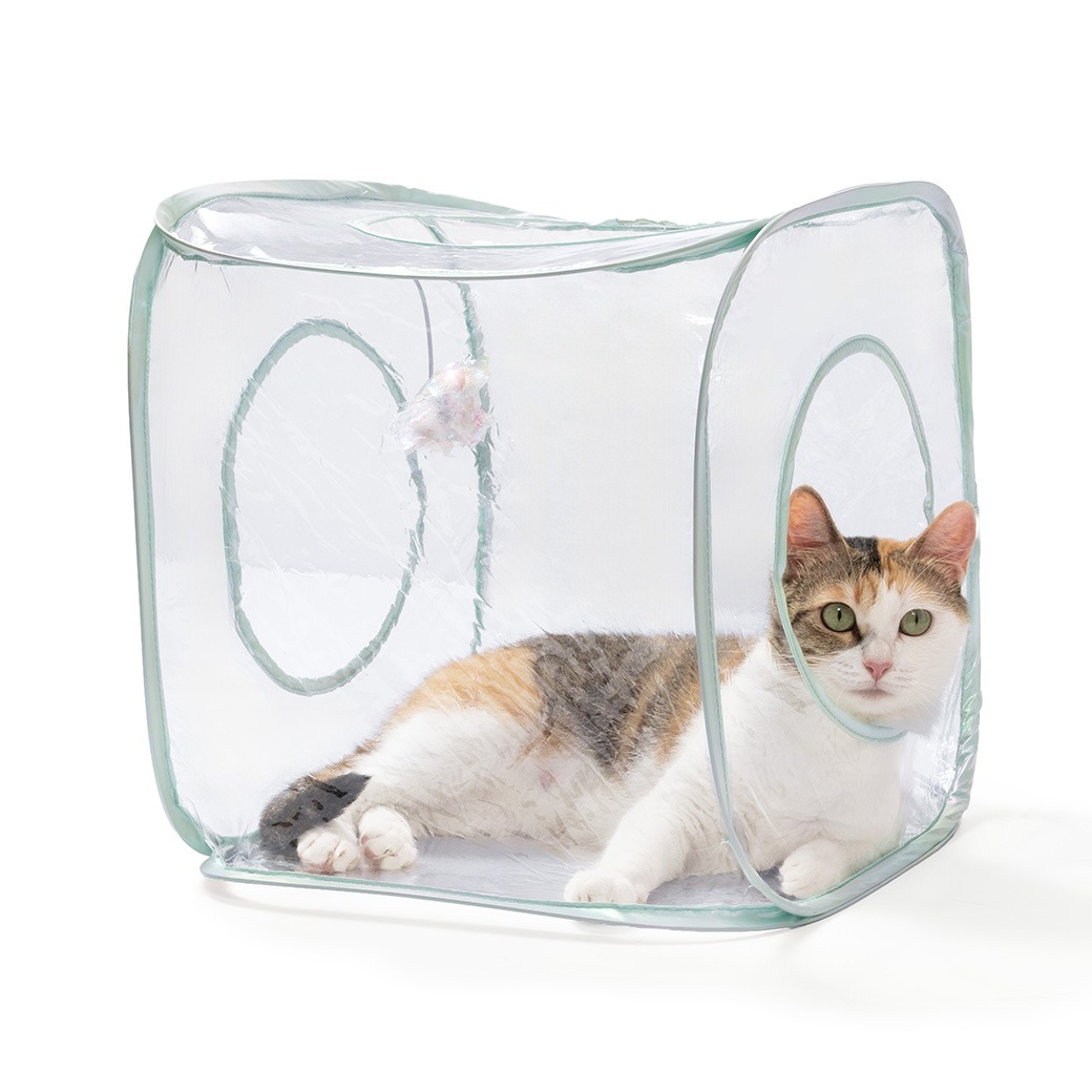 *特別版* 貓壹 Necoichi - 魔術方塊 (透明)