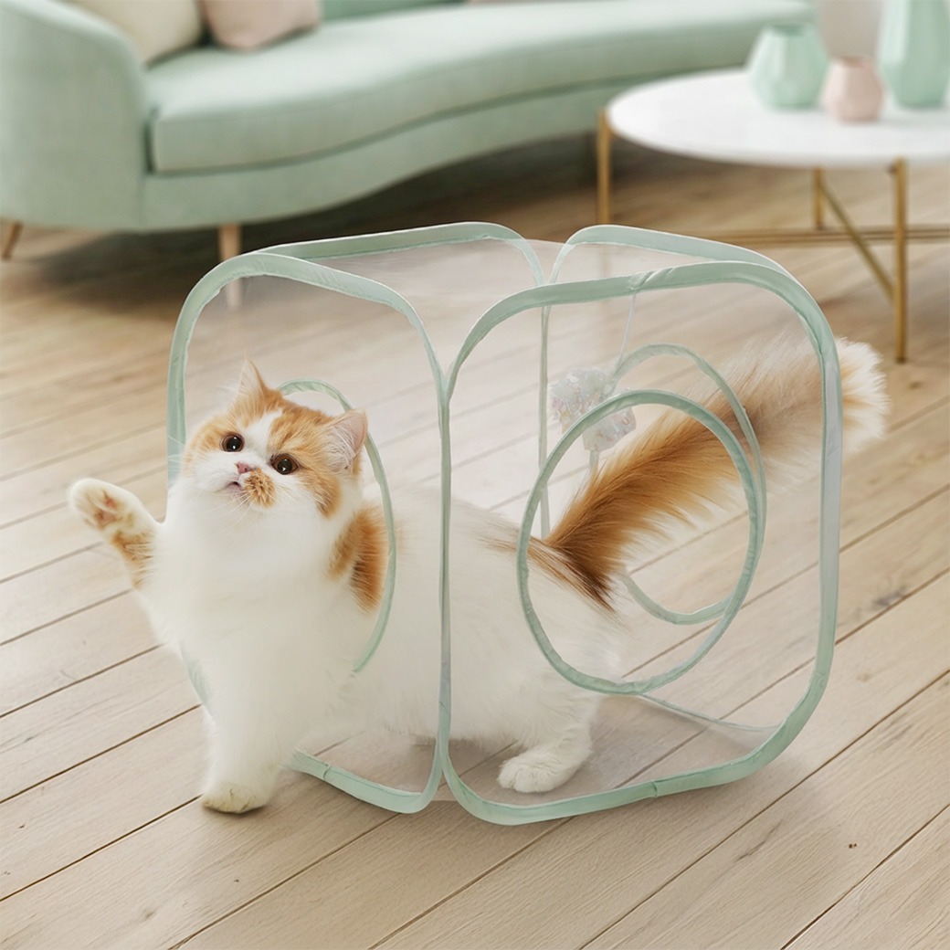 *特別版* 貓壹 Necoichi - 魔術方塊 (透明)