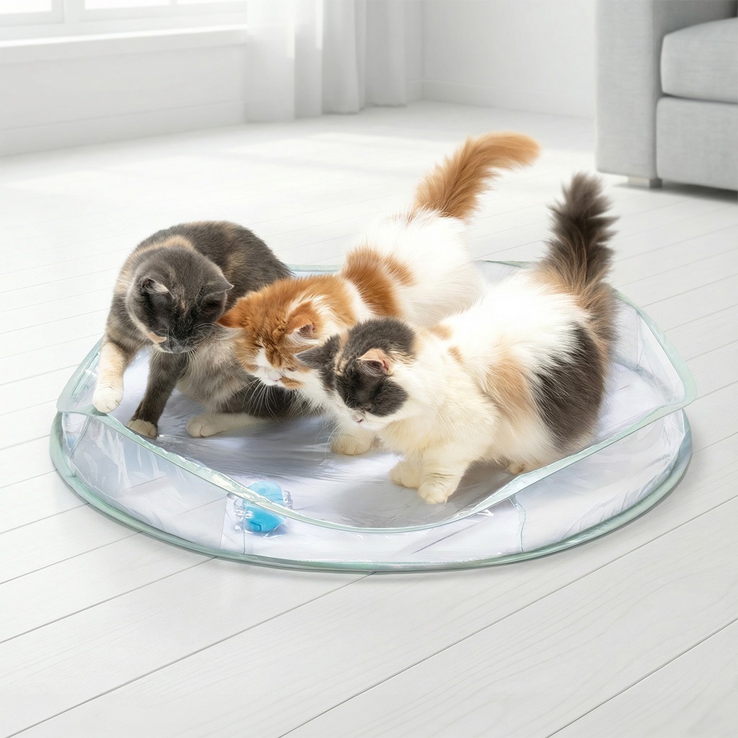 *特別版* 貓壹 Necoichi - 電動迴轉玩具 (透明)