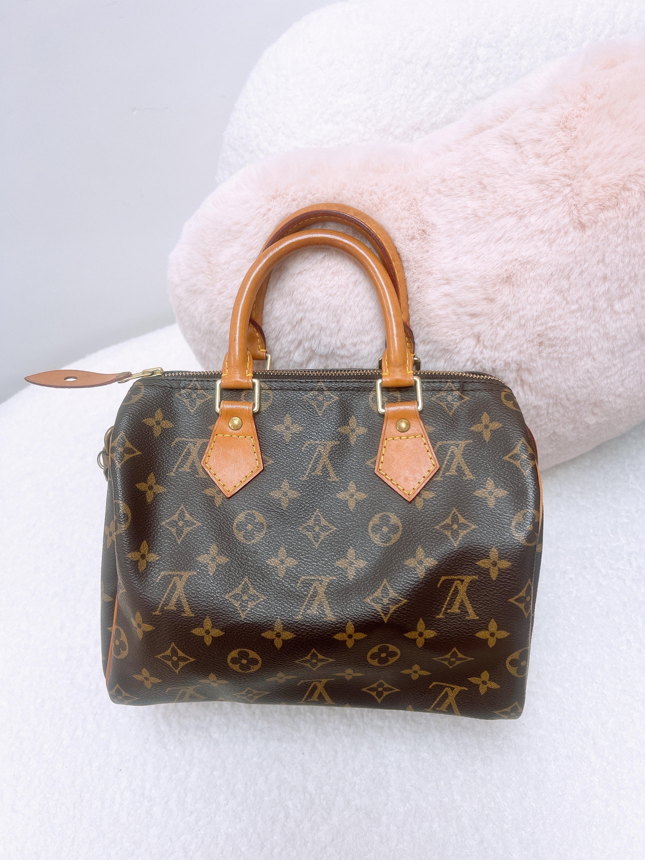 Lv speedy 25 (brown monogram)
