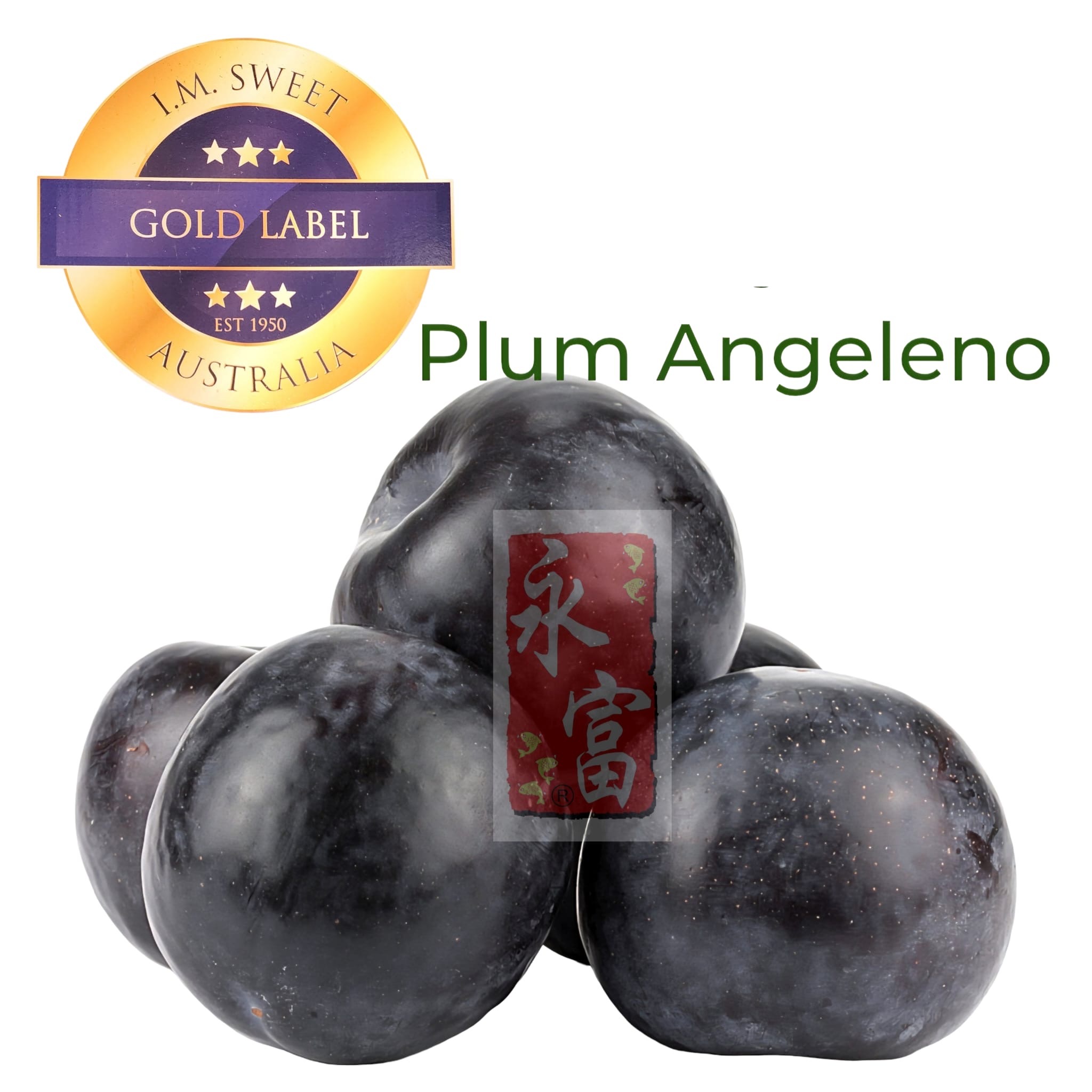 澳洲黑布冧(6個)