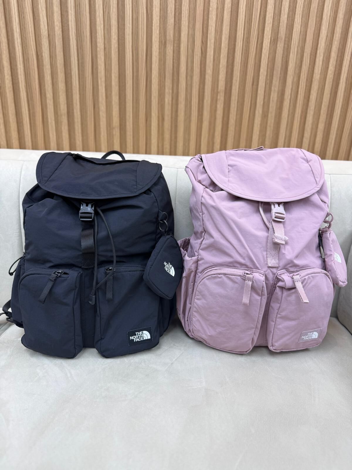 LYS01495 THE NORTH FACE 超輕身多功能backpack