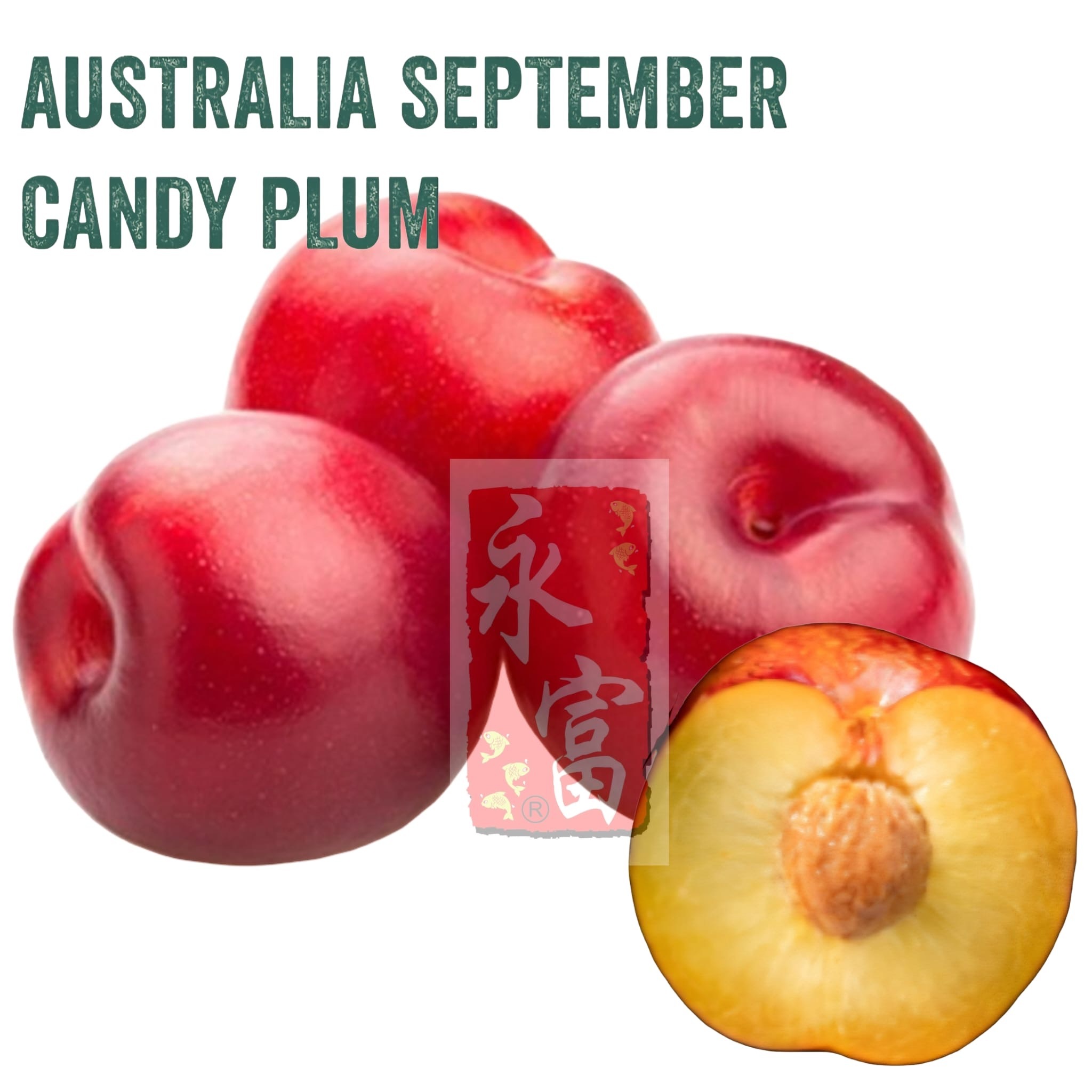 澳洲紅布冧(6個)-1包