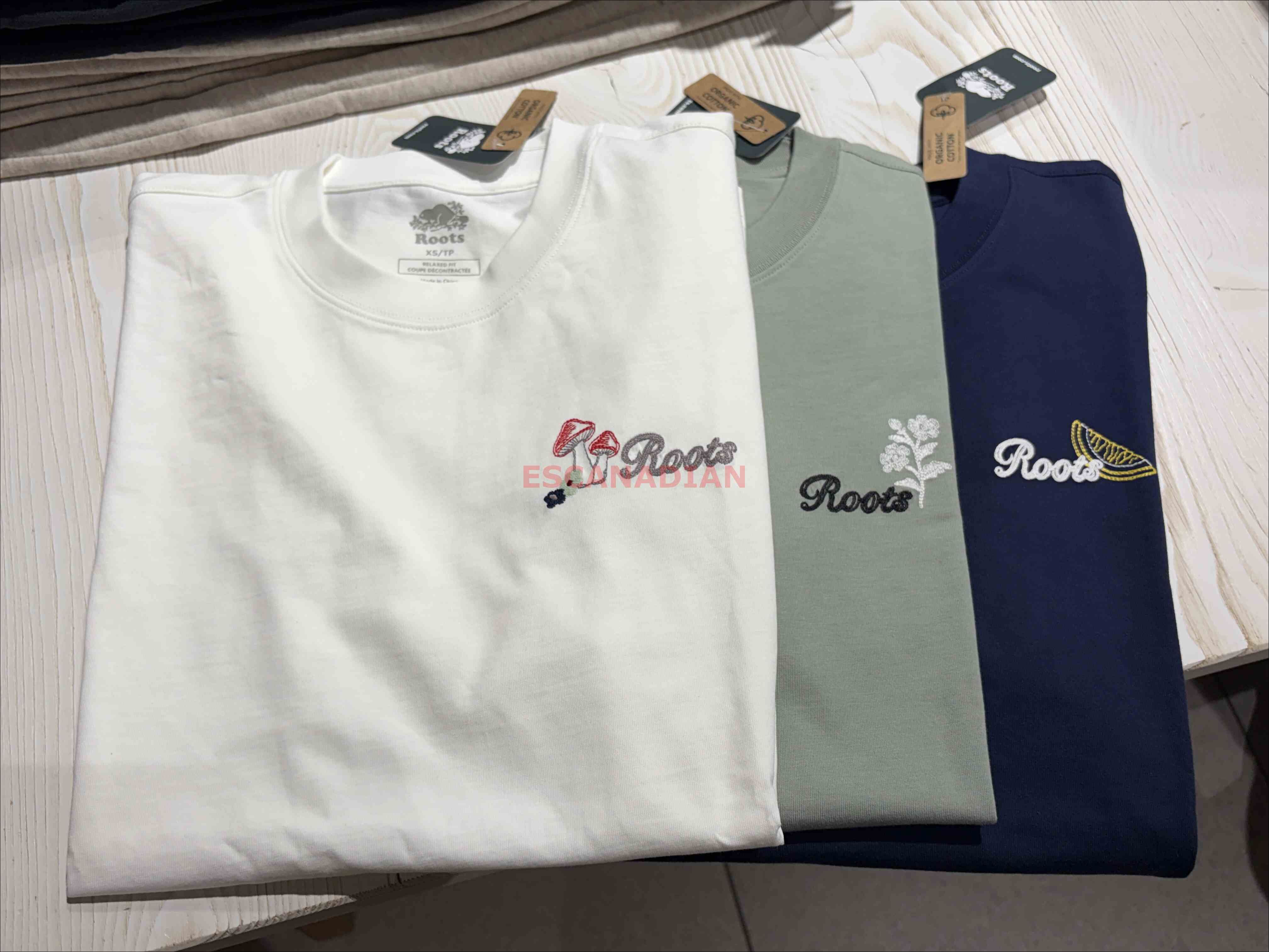 ROOTS 男大人 大自然元素系列 寬版(Relaxed) 刺繡小標 小厚磅 短TEE (3色)