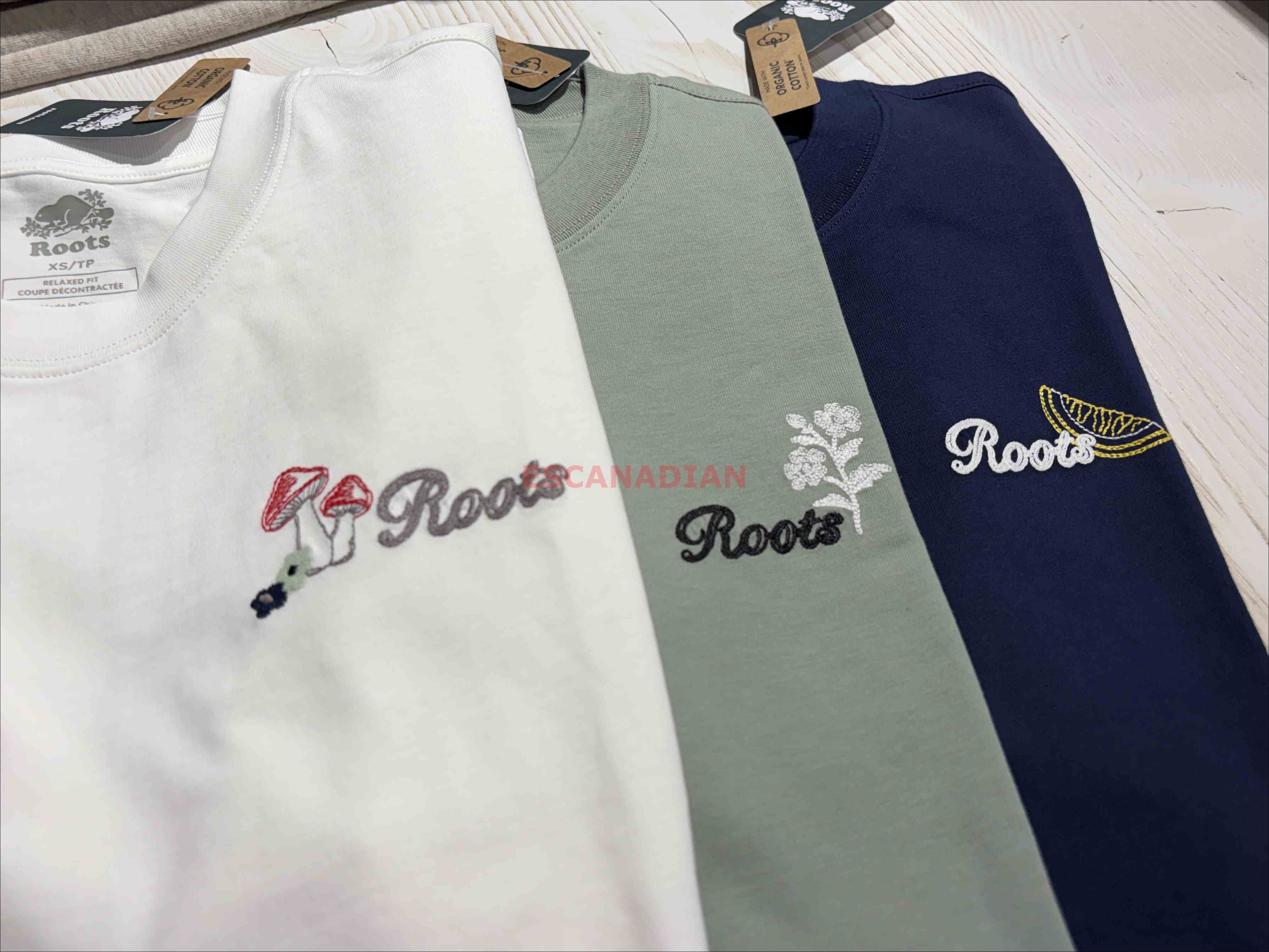 ROOTS 男大人 大自然元素系列 寬版(Relaxed) 刺繡小標 小厚磅 短TEE (3色)