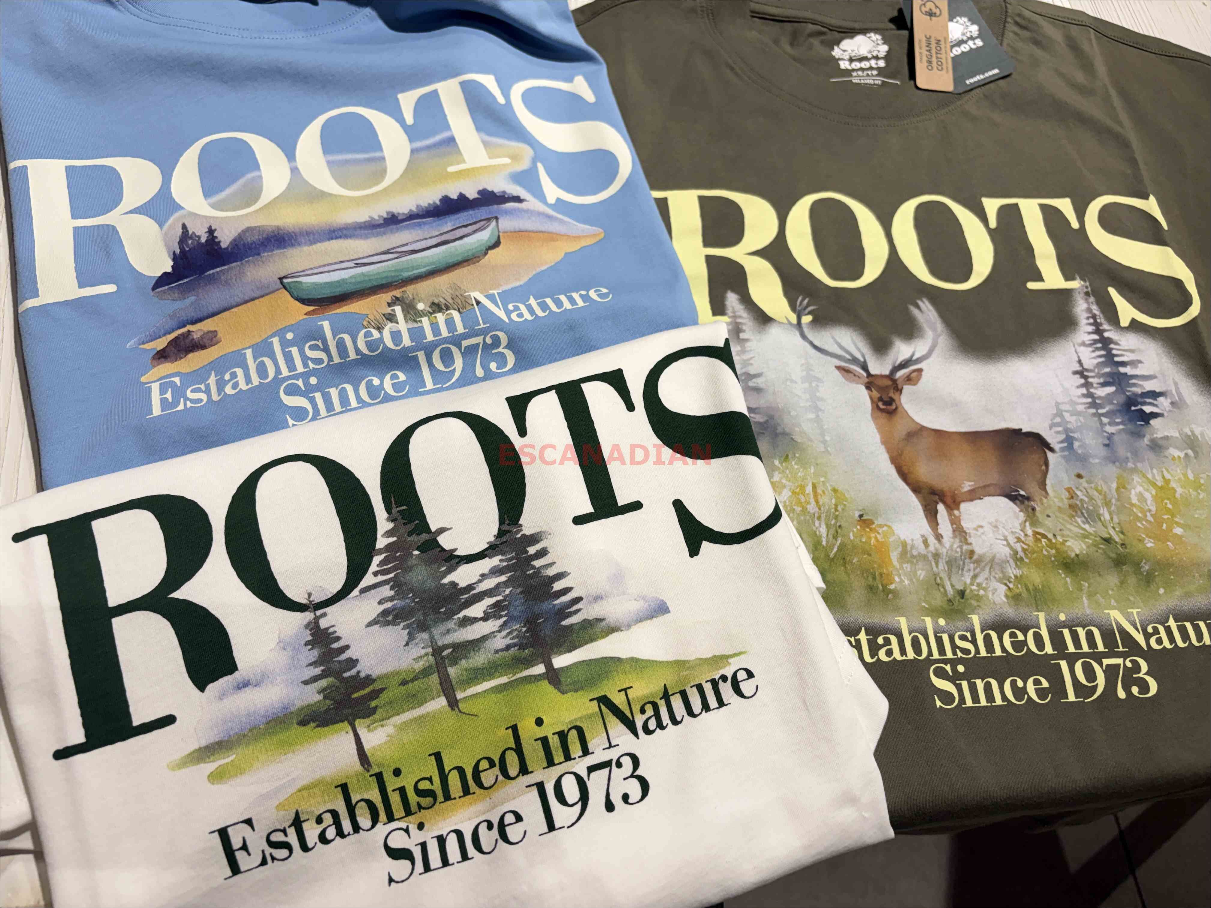 ROOTS 男大人 大自然元素系列 寬版(Relaxed) 圖案 短TEE (3色)