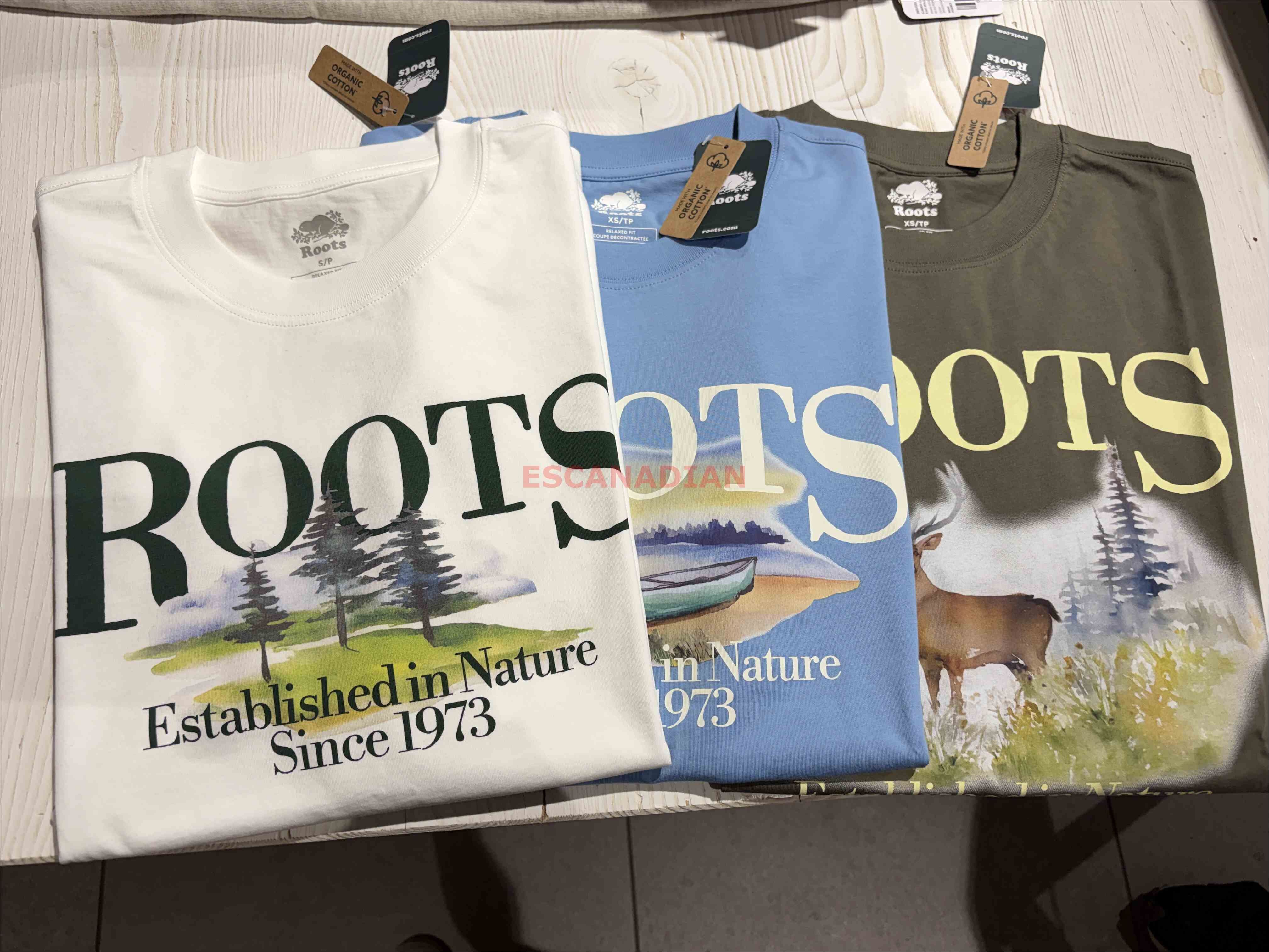 ROOTS 男大人 大自然元素系列 寬版(Relaxed) 圖案 短TEE (3色)