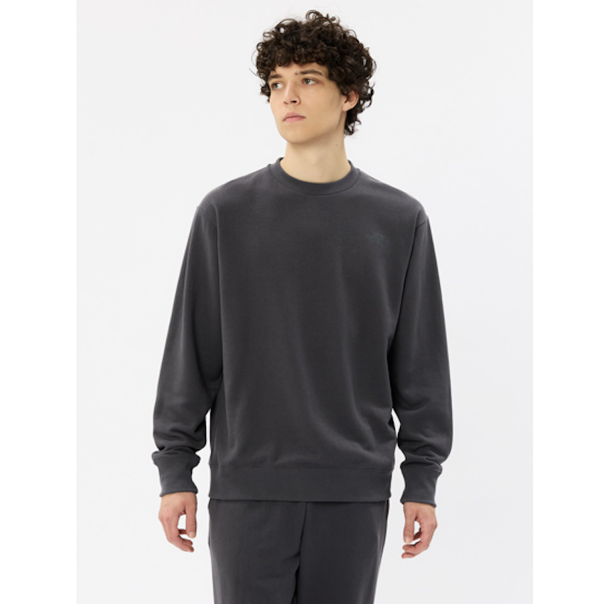 日本 2026 限量版 The North Face Comfortable Paper Sweat Crew 男裝衛衣