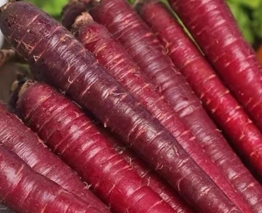 本地有機紫甘筍 (斤)