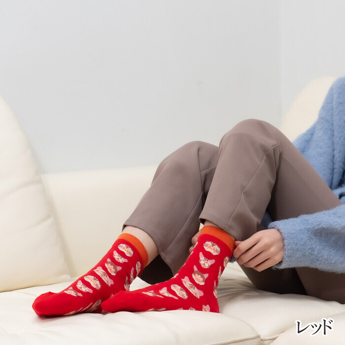 日本製眼鏡貓咪襪子