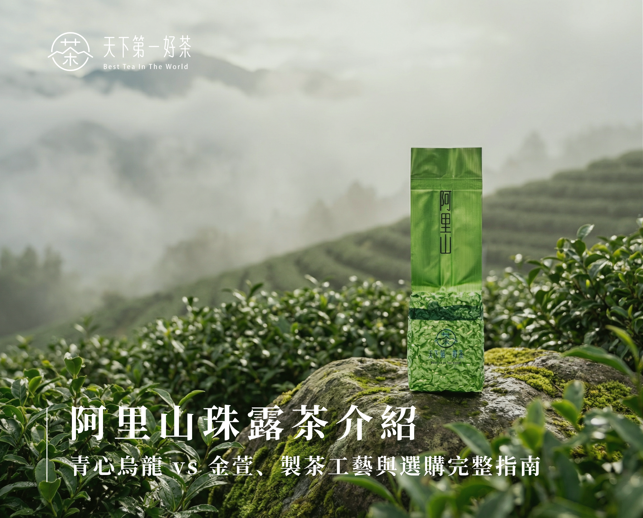 阿里山珠露茶介紹