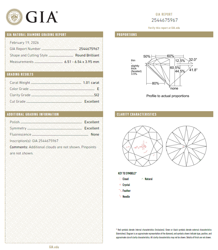 GIA鑽石 1.01 E SI2 3EX NON