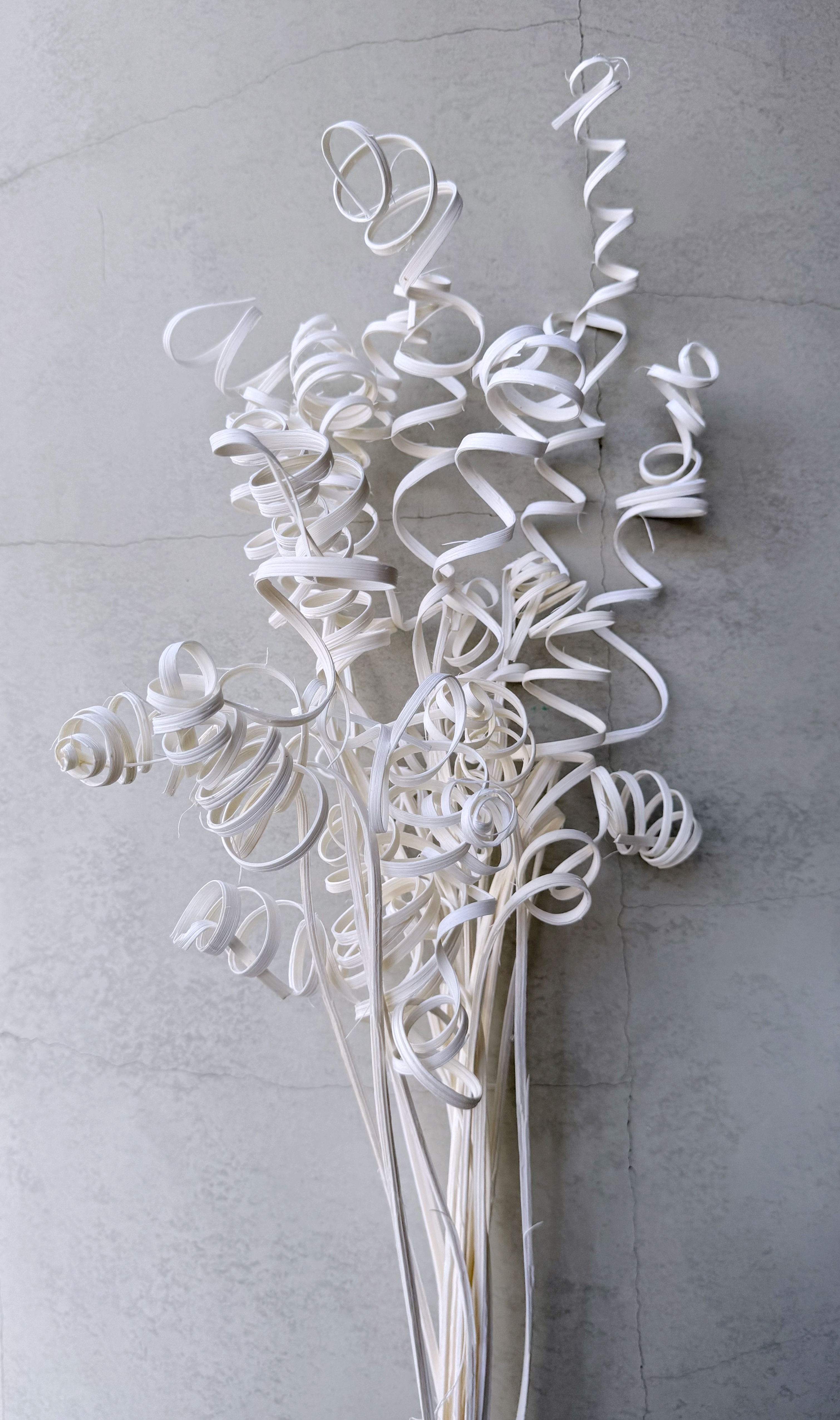 彎彎草（日本）