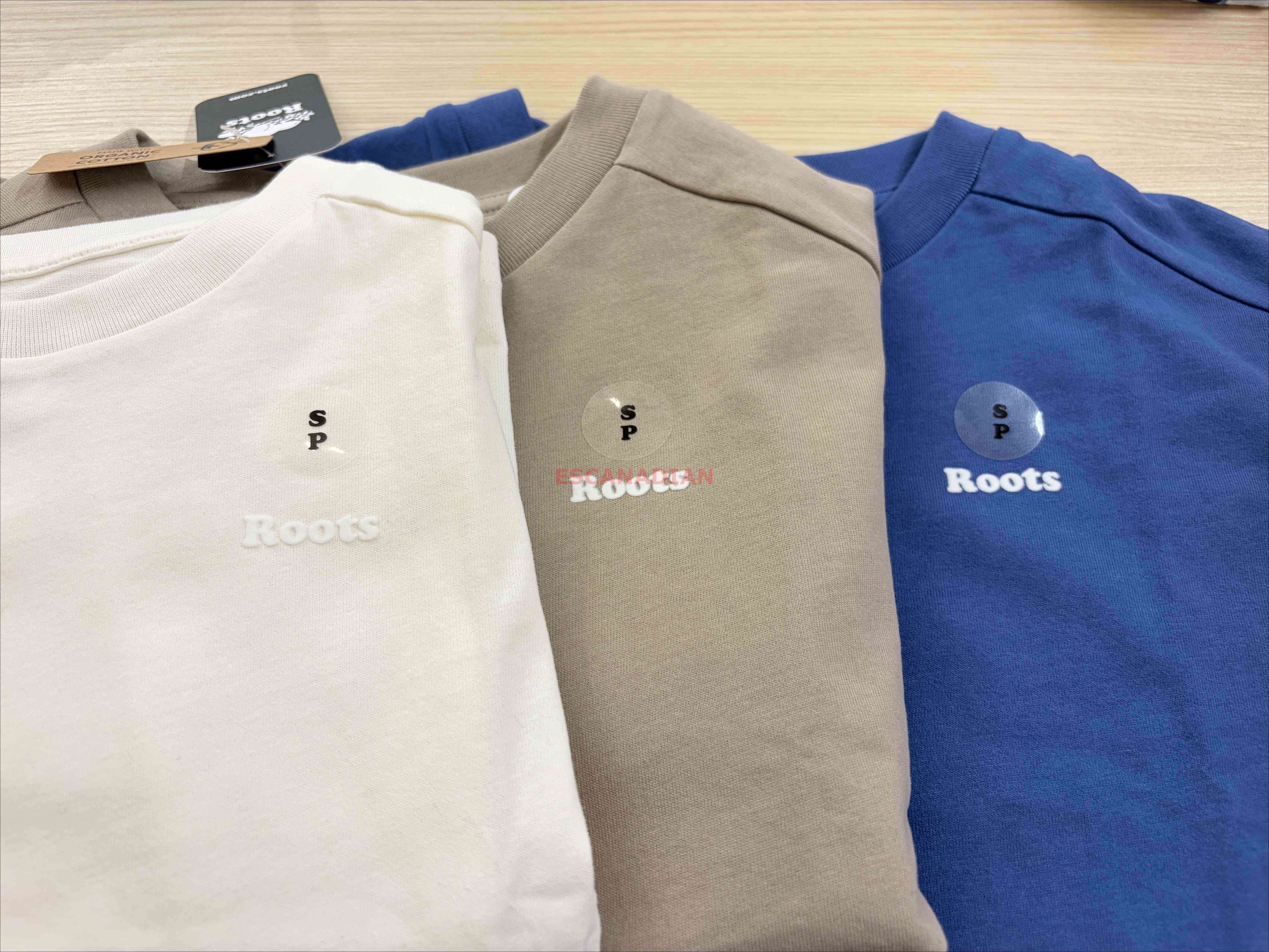 ROOTS 男大童 Cloud系列 硬挺厚棉 落肩 短Tee (3色)