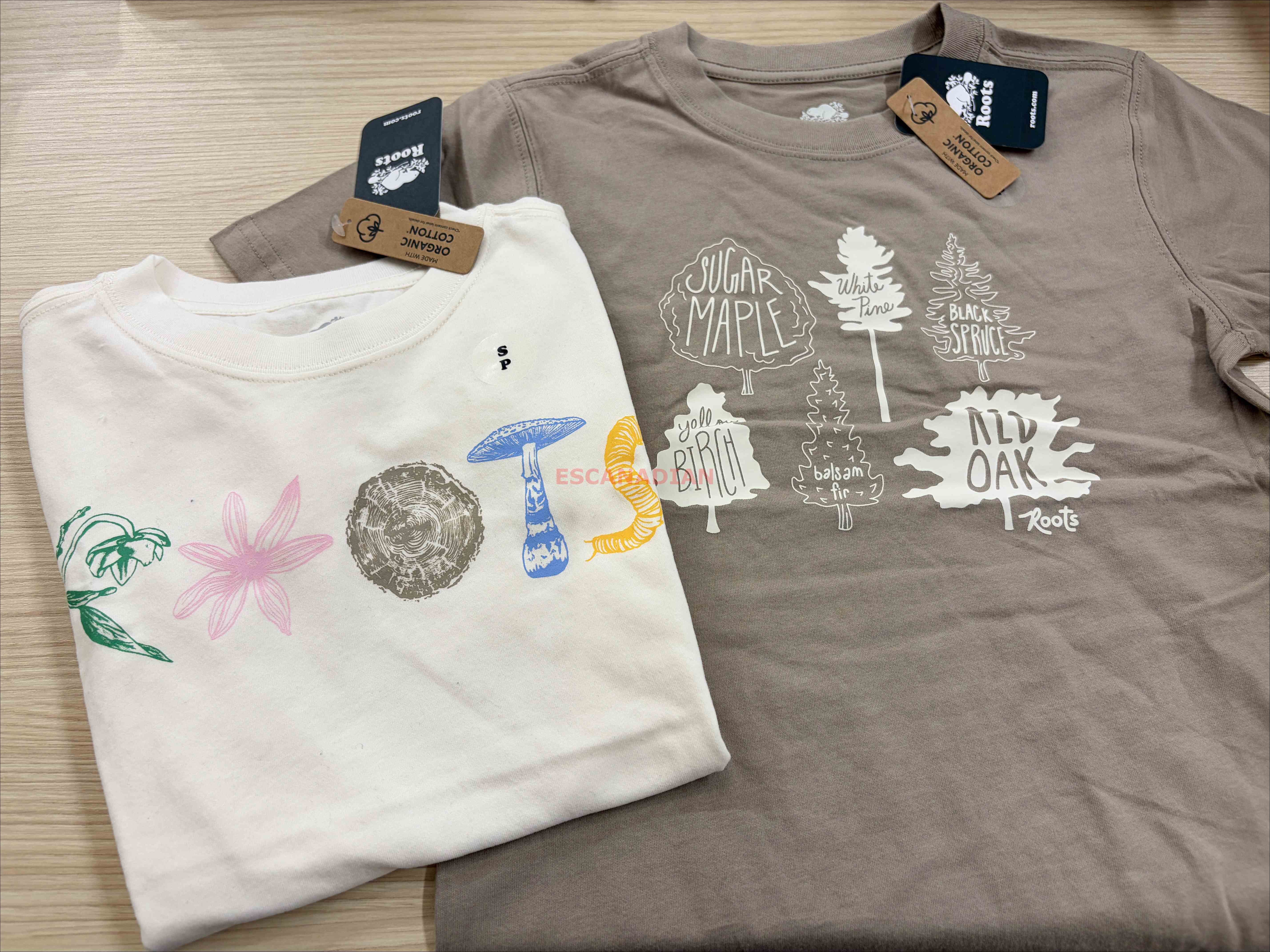 ROOTS 大童 大自然元素系列 圖案 短TEE (2色)