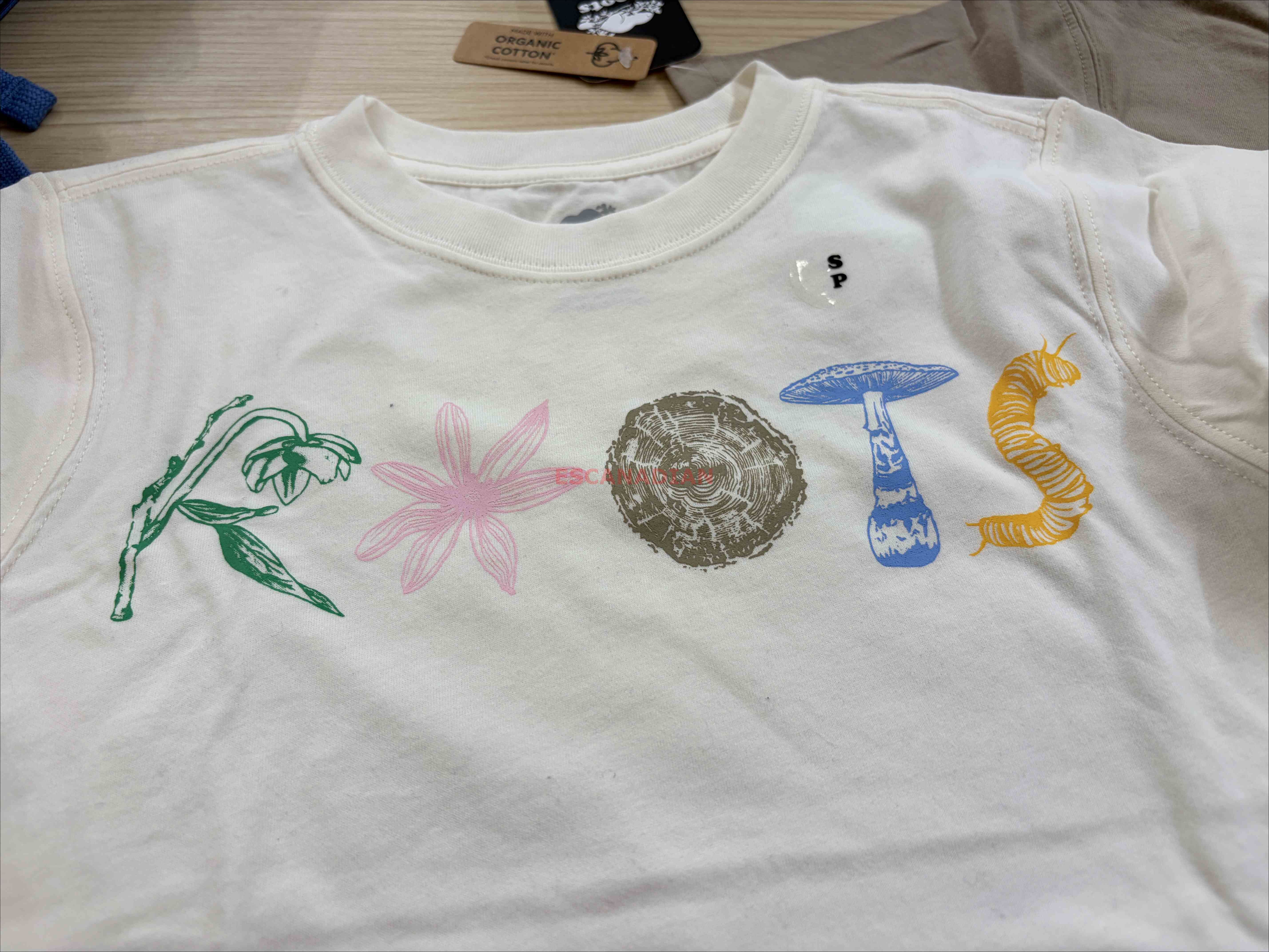 ROOTS 大童 大自然元素系列 圖案 短TEE (2色)