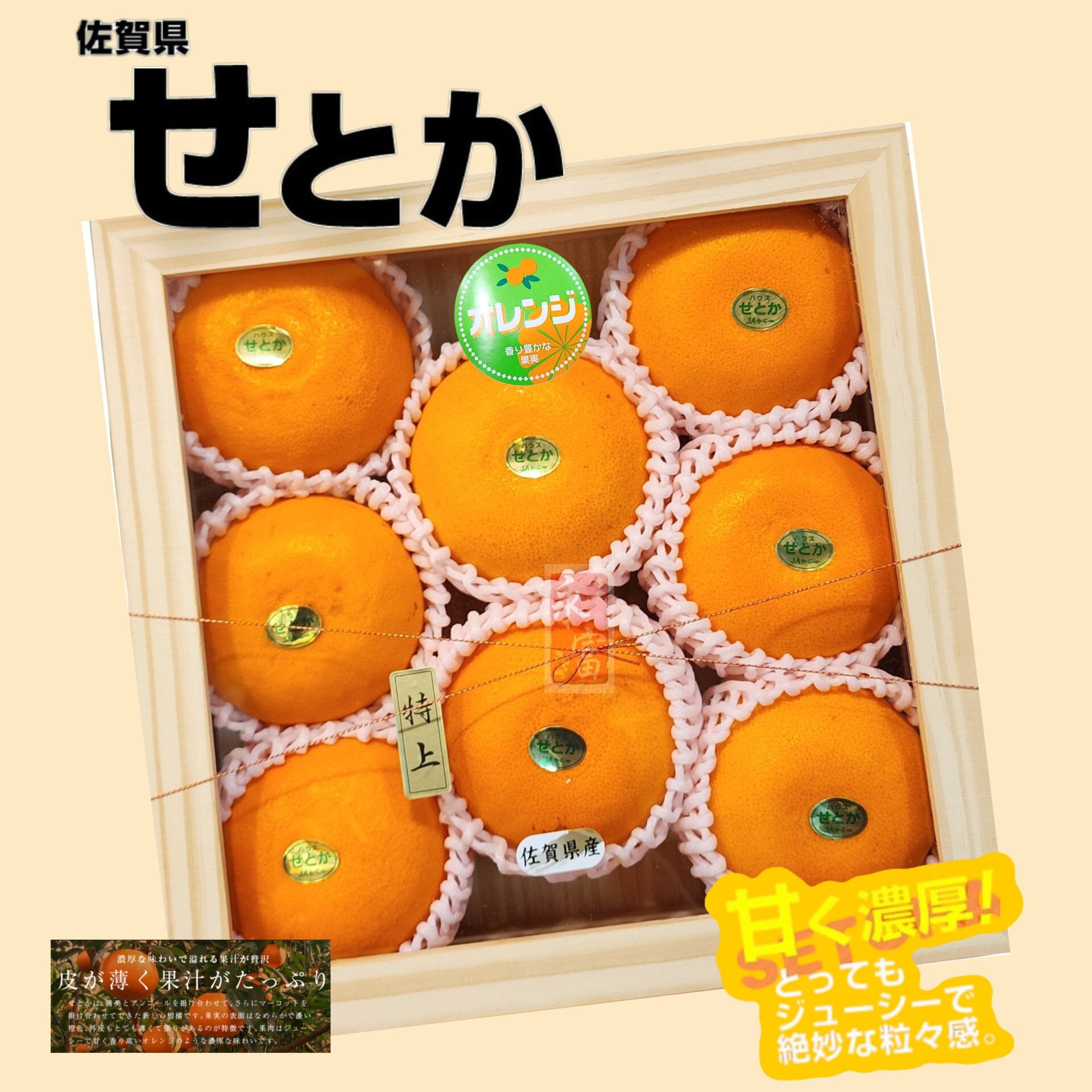 日本佐賀縣皇姬柑