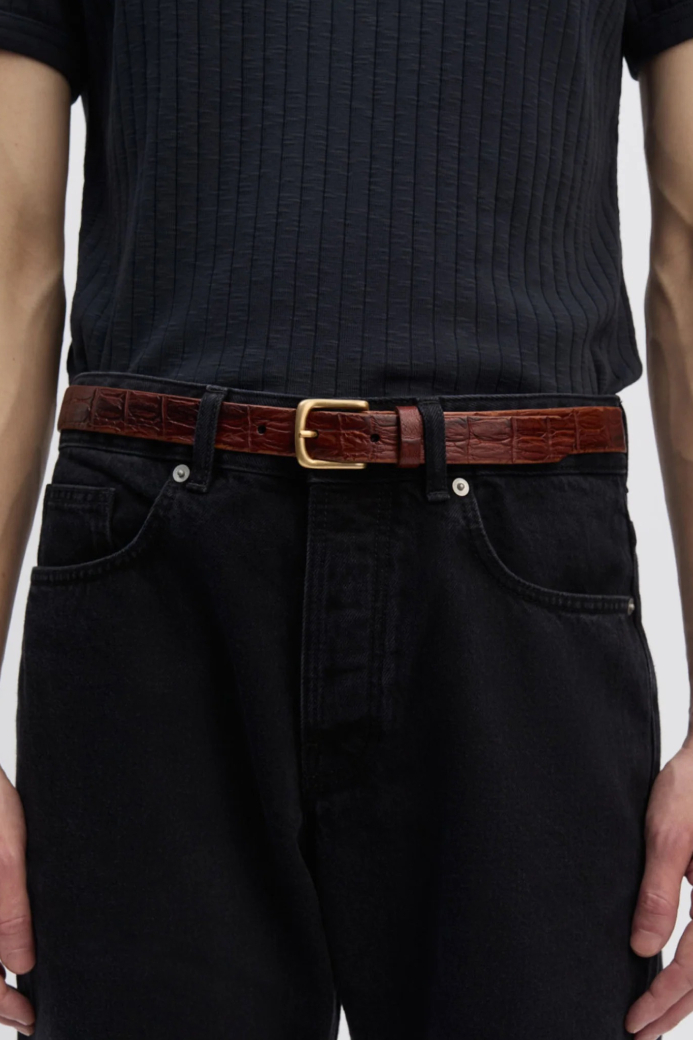 ANOTHER ASPECT BELT1.0 (3COL)