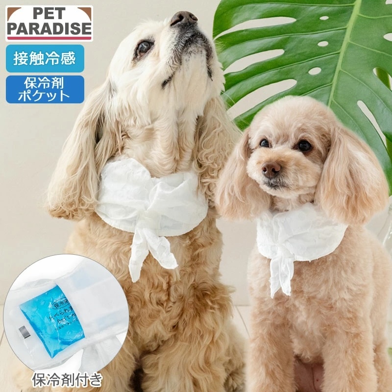[Pet Paradise] CoolGel Top <633-43161>