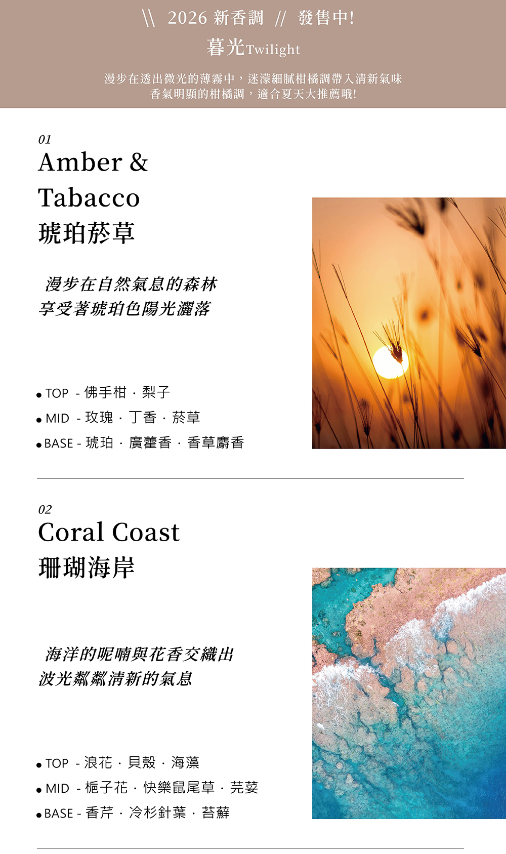 琥珀菸草噴霧香氣描述,珊瑚海岸噴霧香氣描述