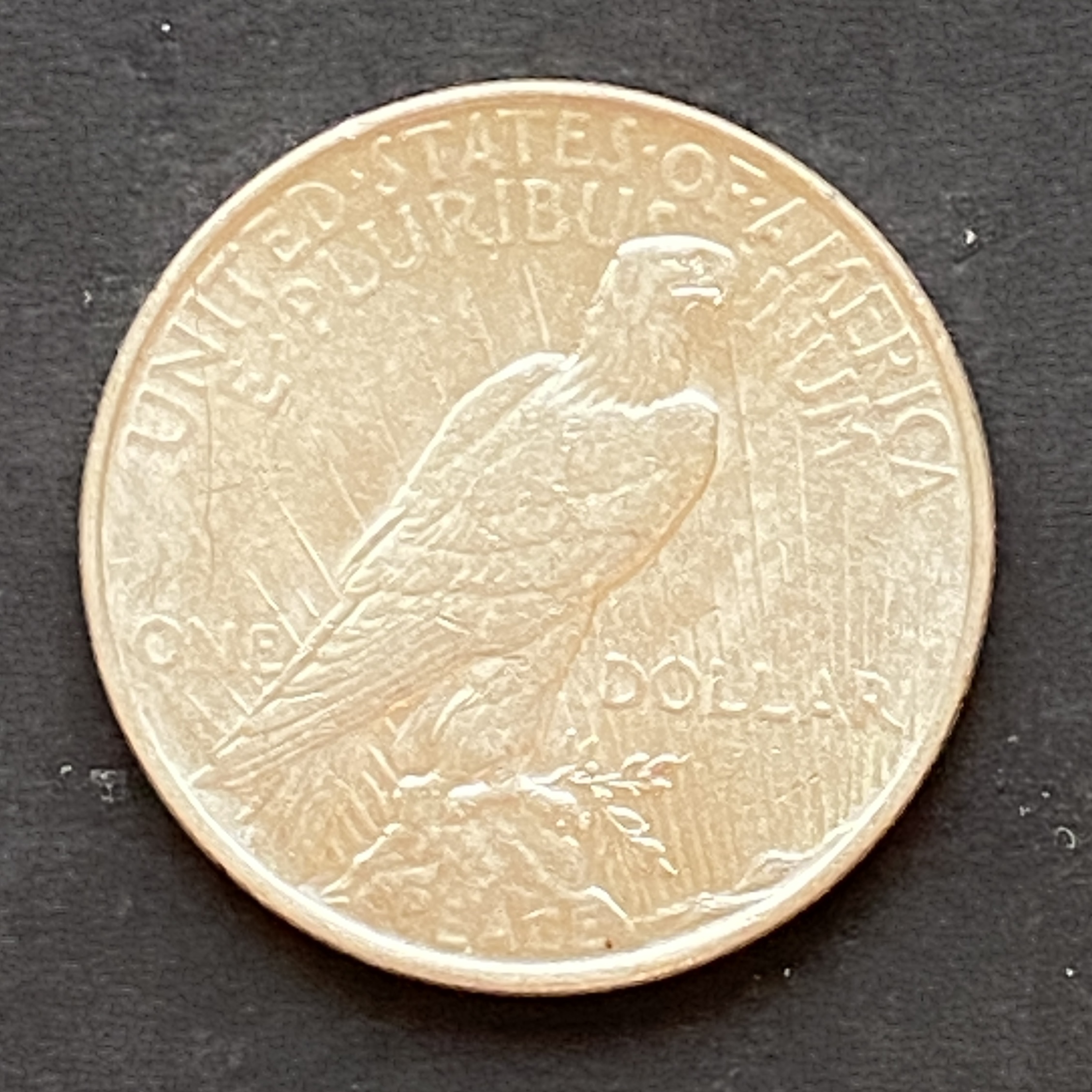 1922 美國一元和平銀幣 (Set B)