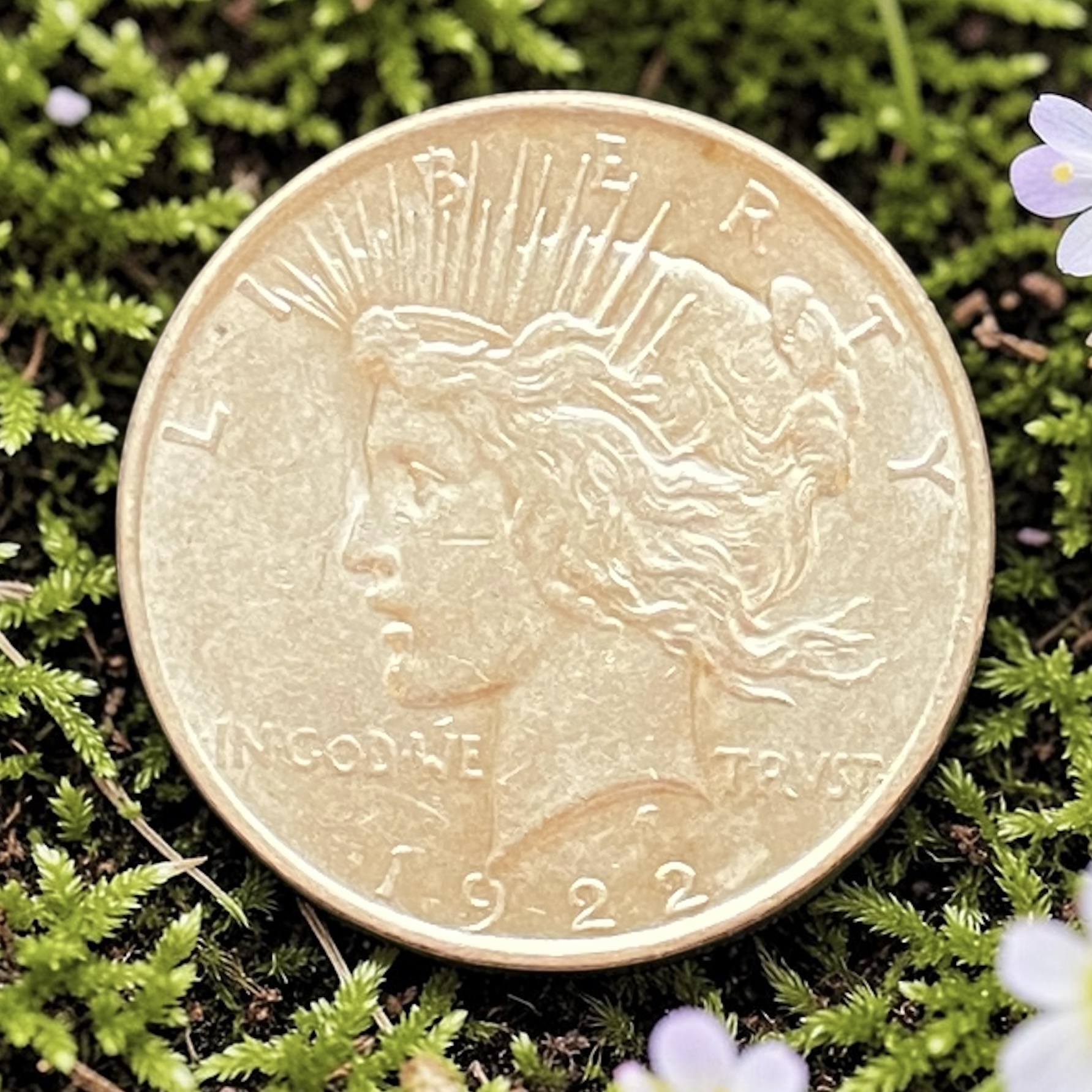 1922 美國一元和平銀幣 (Set B)