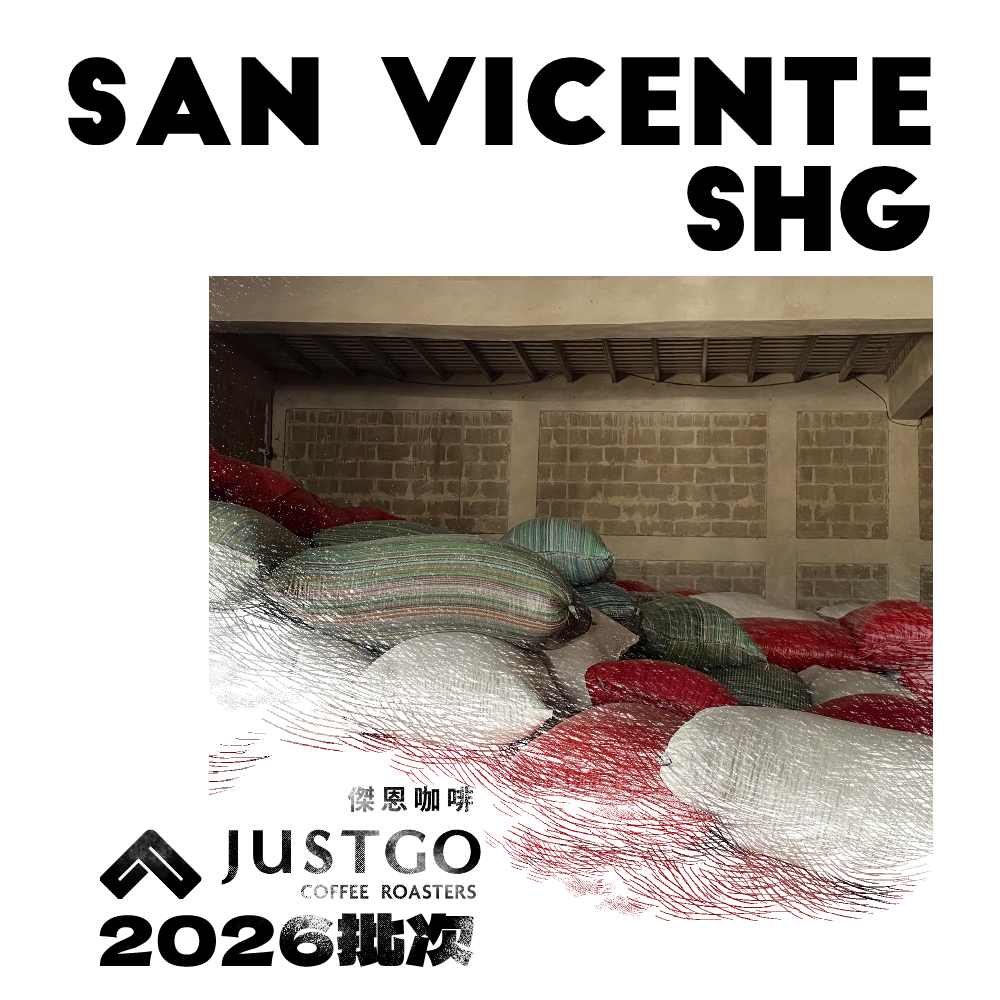 [生豆] 宏都拉斯 聖文森合作社 SHG 水洗