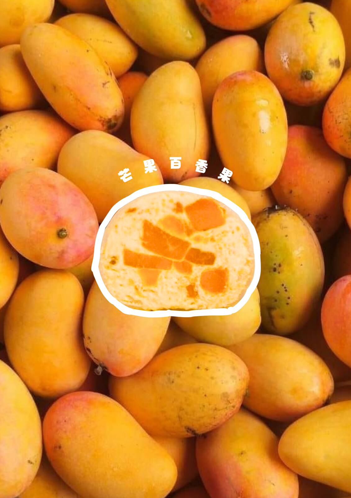 【急凍貨】S‘machi mochi 雪媽糍 芒果百香果 1個