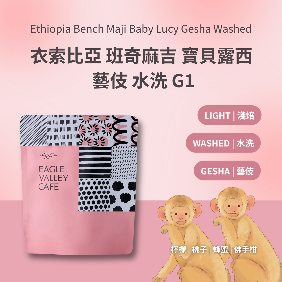 2026 衣索比亞 班奇麻吉 寶貝露西 藝伎 水洗 淺焙 咖啡豆