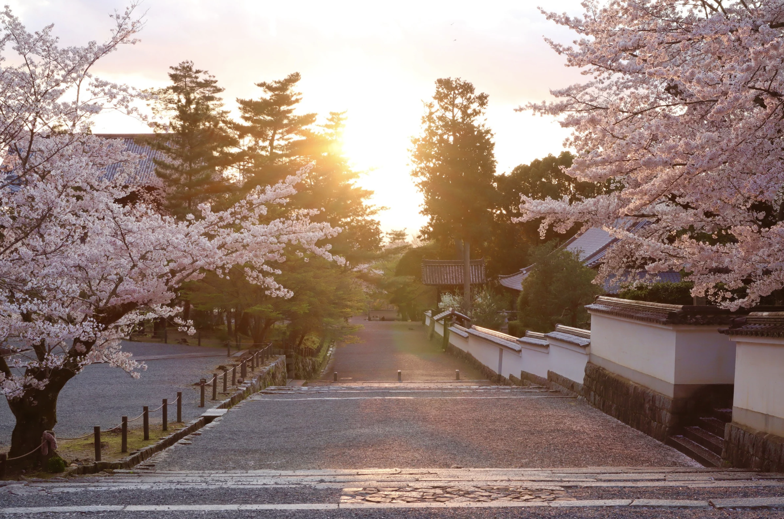 春天日韓旅行肌膚常見的問題