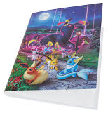 寶可夢收藏卡冊 月亮伊布 朋 (可容納216張卡)