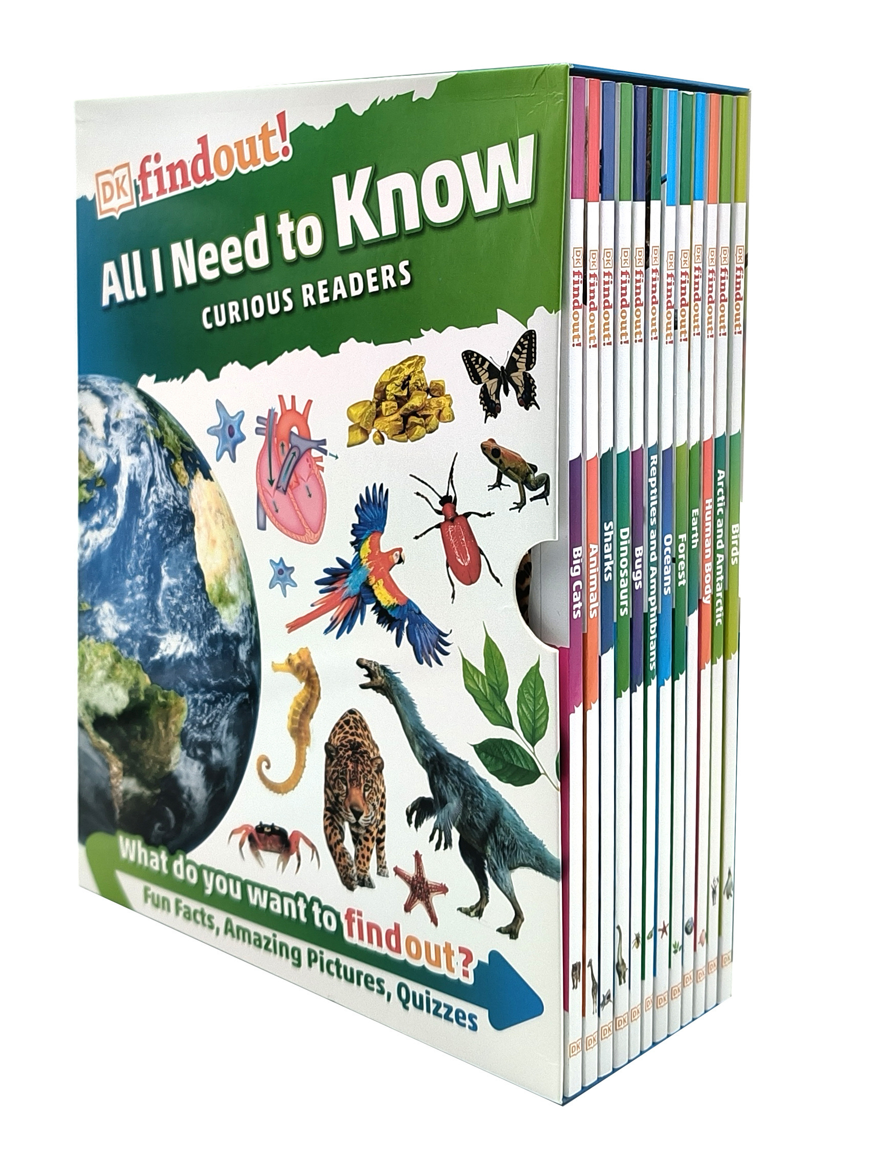 DK findout! All I Need to Know – Curious Readers 12 Books Collection