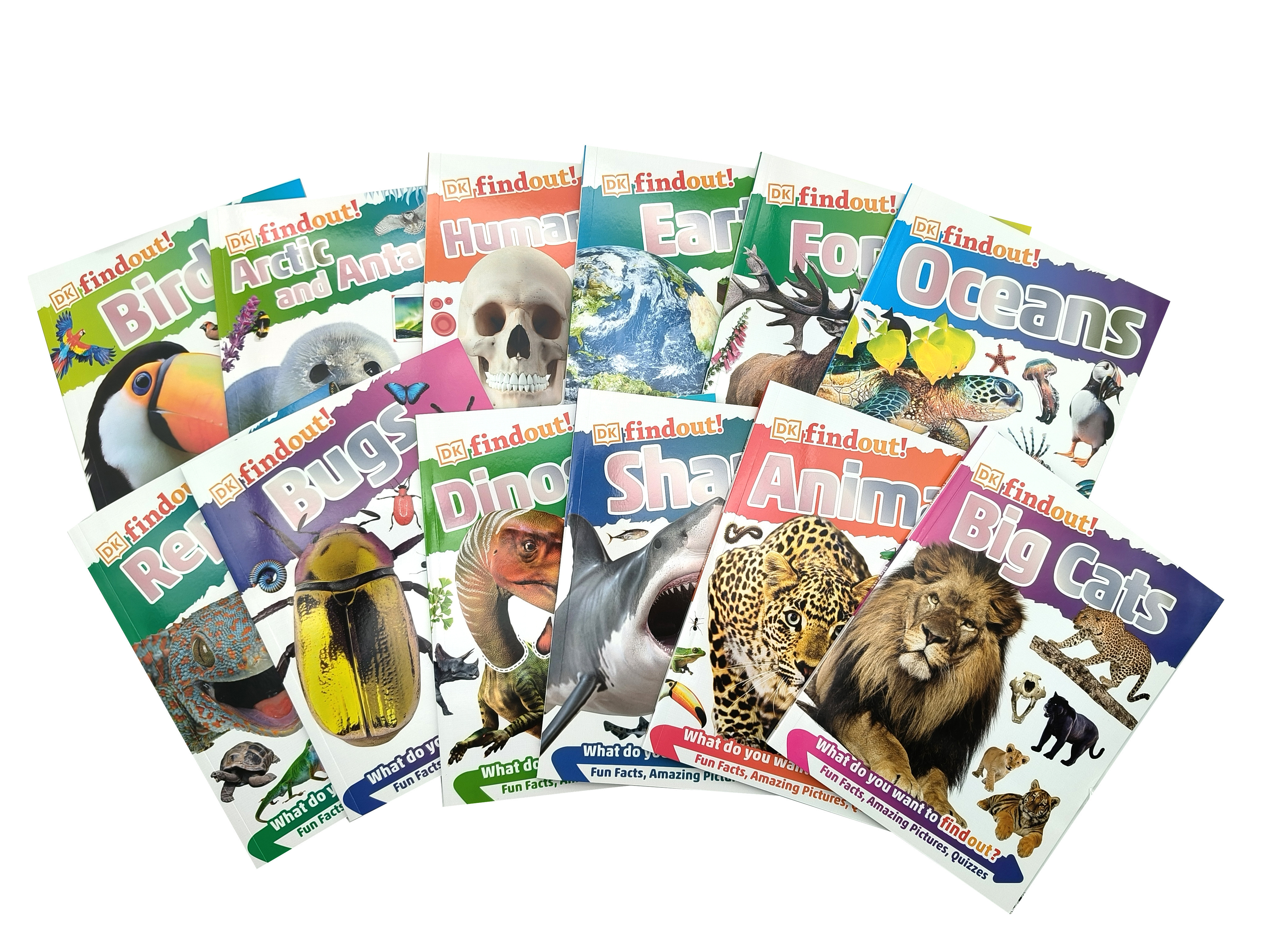 DK findout! All I Need to Know – Curious Readers 12 Books Collection