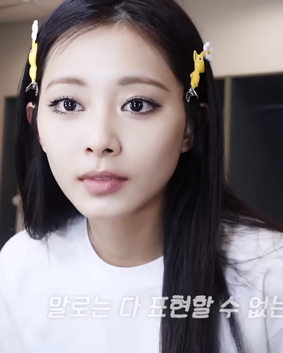 <日本限定!!>Nintendo 任天堂 Pikmin 皮克敏 羽毛 髮夾 一組兩入