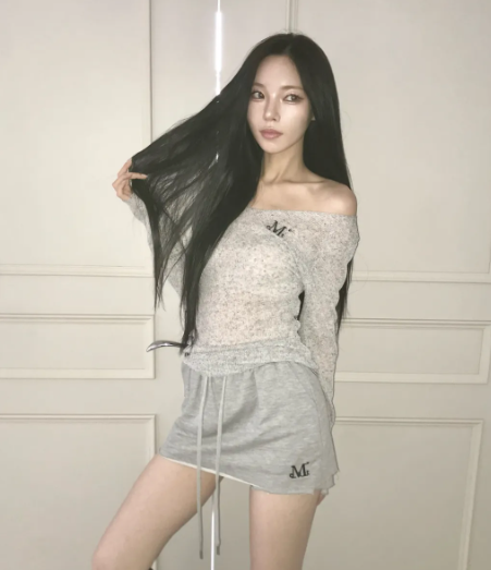 韓國🇰🇷連線 MUCENT 透膚V領刺繡針織衫 透膚 針織衫 刺繡 V領 外搭 打底 長袖 4色(任買兩件7-11免運)/預購