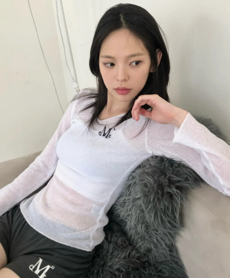 韓國🇰🇷連線 MUCENT 透膚V領刺繡針織衫 透膚 針織衫 刺繡 V領 外搭 打底 長袖 4色(任買兩件7-11免運)/預購