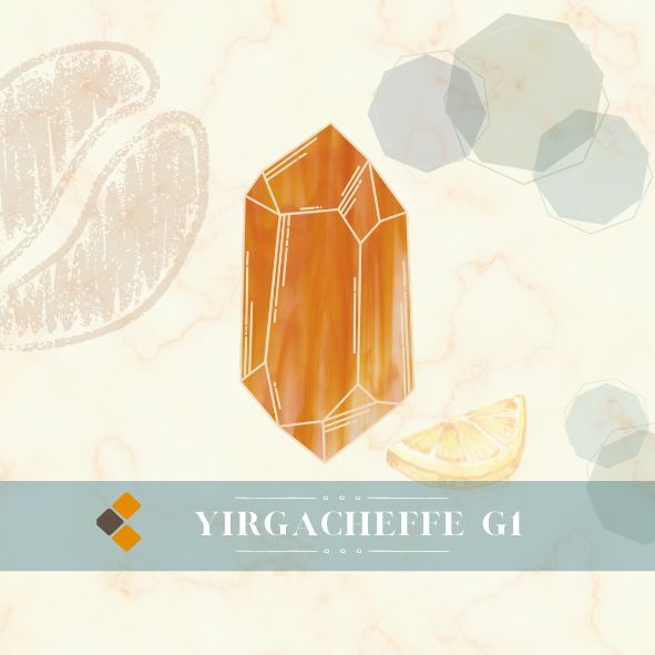 檸香琥珀｜濾掛｜10包入