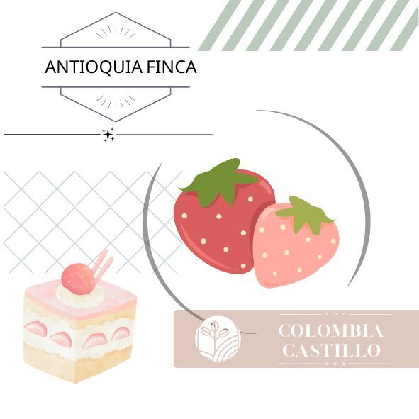 草莓密語｜濾掛｜10包入