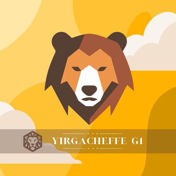 耶加雪菲｜濾掛｜10包入