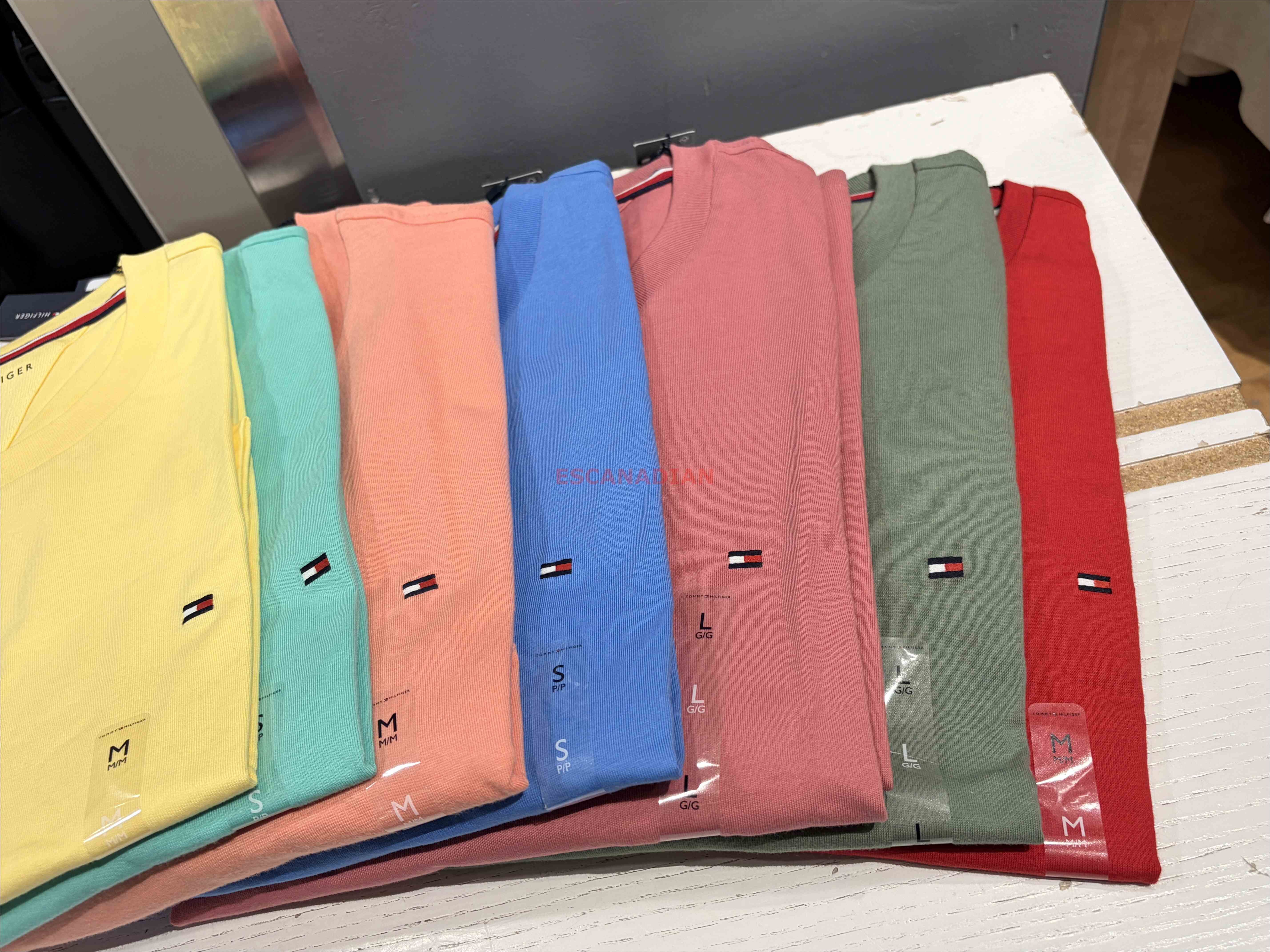 TOMMY 男大人 經典款 圓領 素面 短TEE (7色)