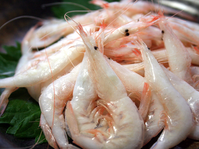 熟凍宜蘭富山白蝦