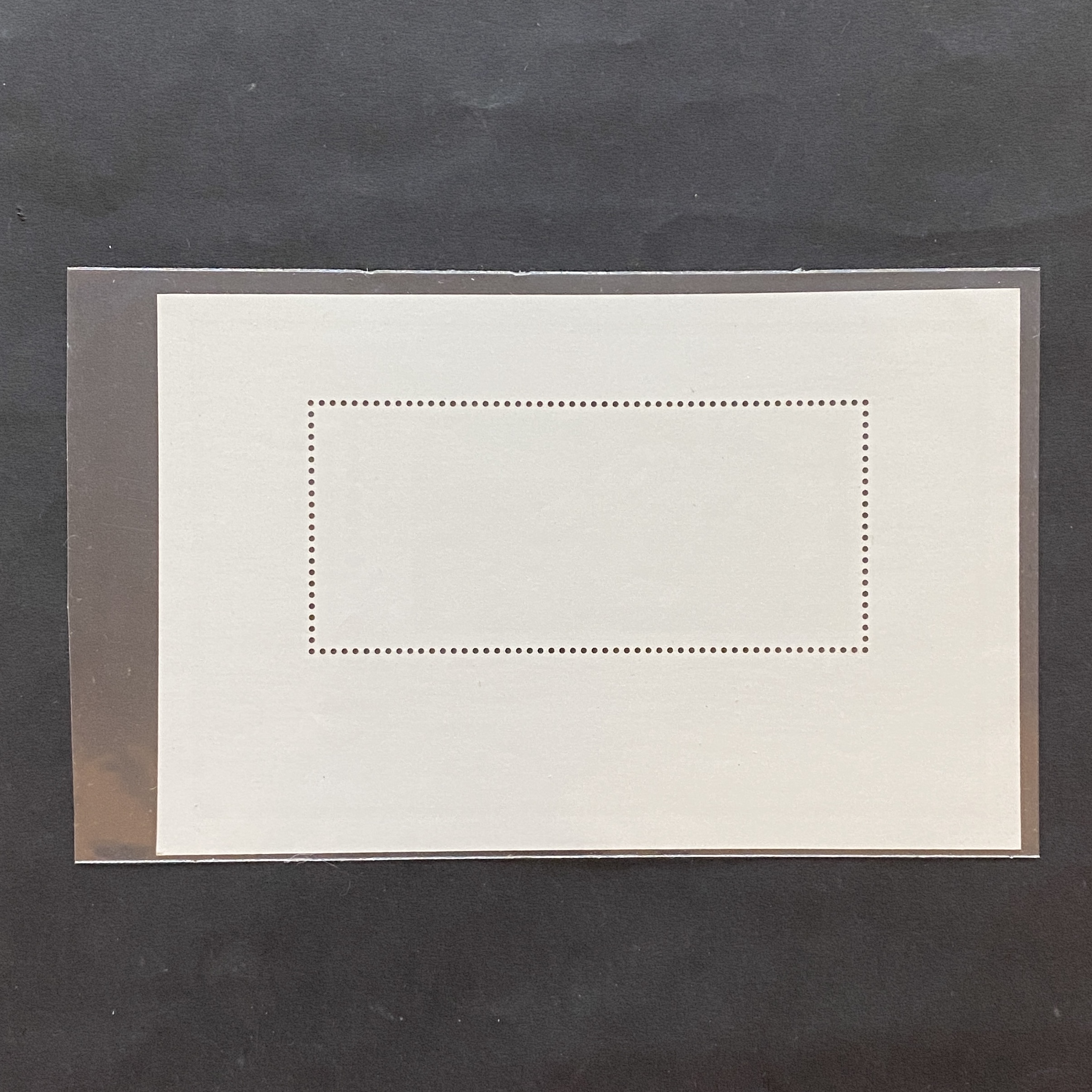 1978年中國 T29M 工藝美術小型張