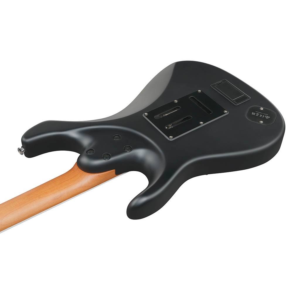 Ibanez Ibanez BER10 Bernth Signature 電吉他 簽名款 第 4 張圖片｜三峽吉他 / Bass